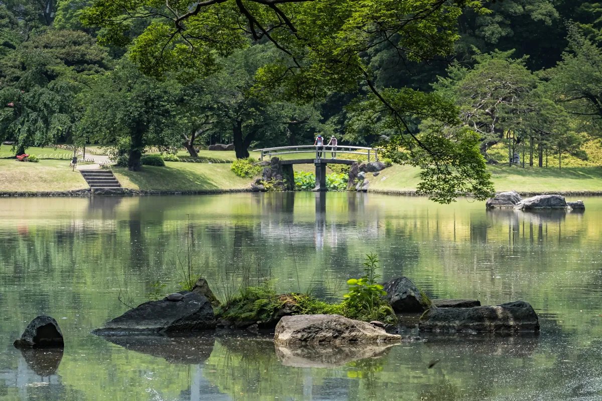 🌳 고이시카와 식물원 이미지 6